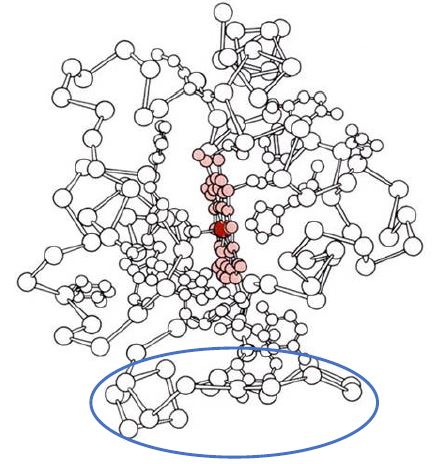 Cytochrome c Keeps on Giving—A Conformational Change Detected in Situ with an Antibody Probe Adds to the Intricacies of Its Cellular Functions