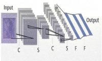 Vision Transformers for Diagnostic Classification of Lymphomas: A Matched Comparison with a Convolutional Neural Network
