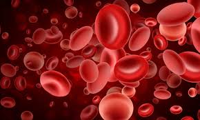 Common Targeted Therapies in Acute Leukaemia’s Requiring Modification of Practice in Hematopathology